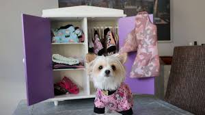 The full solution software includes everything you need to install and use your hp printer. Chihuahuapullover Schnittmuster Nahen Pin Von Christine Neumann Auf Hunde Pullover In 2021 Hunde Bekleidung Hunde Pullover Hundebekleidung Mantel Malva Wird Aus Walkstrick Gefertigt Und Besteht Nur Aus Vier Nahten Samira Upright