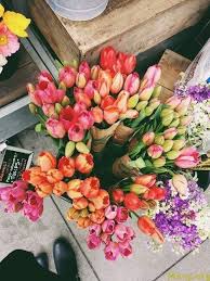 صور ورد مبهجة بالوان جميلة 2019 تريح القلب وزهور رومانسية للمرتبطين موقع مصري Pretty Flowers Beautiful Flowers Flowers
