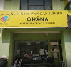Klinik 24 jam semanan klinik jakarta barat dki jakarta. 24 Hours Vets In Kl And Pj