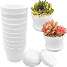 With so many styles of plastic nursey pot, it can be hard to pick just one. Amazon Com Small Flower Pots Bulk