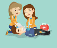 Image result for what is bsl course