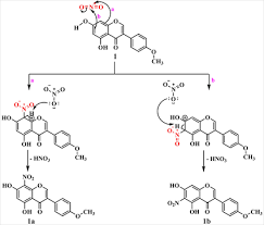 Image result for Trifolium baccarinii