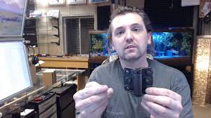 Fully adjustable door hinges that make it easy to put the doors on and dampers that help them close slowly and softly are just the start. Bommer 2920 640 2 75x2 75in Screen Door Spring Hinge Full Surface Steel Base Adjustable Tension Youtube