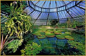 Jardin Botanique Strasbourg Blog Dianahr Jpg 617 400 Jardin Botanique Strasbourg Jardin Botanique Botanique
