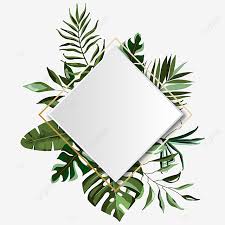 Reviews there are no reviews yet. Green Leaf Tropical Summer Frame Leaf Square Frame Png Transparent Clipart Image And Psd File For Free Download