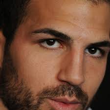 Cesc Fabregas and rumour