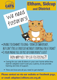 Sos We Need Fosterers