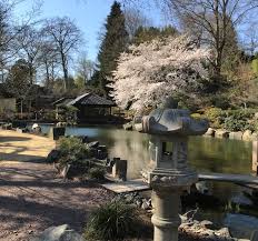 Japanische gärten sind ein ausdruck der japanischen philosophie und geschichte. Stimmungsaufheller In Kaiserslautern Wenn Der Park Zu Den Menschen Kommt