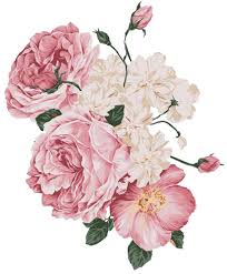 Import matplotlib.pyplot as plt import matplotlib.image as mpimg plt.imshow(mpimg.imread('myimage.png')). Pin De Patricia Jackson Em Png Imagem Floral Flores Botanicas Ilustracao De Flor
