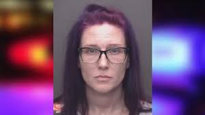 Police: Teacher fired after bringing meth to Family Fun Night at STEM  academy
