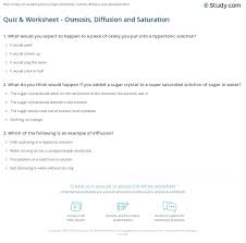 How do the villains enter the city? 27 Osmosis And Diffusion Practice Worksheet Answers Worksheet Project List