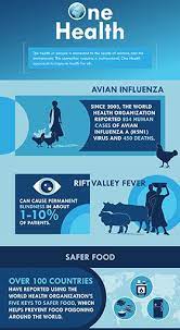 One Health Zoonotic Disease Prioritization Workshop Infographic Infographic Health First Health Health