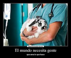 Graciosas feliz dia del medico veterinario. Imagenes Y Carteles De Veterinarios Desmotivaciones