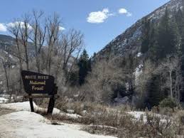 Terrie Lynn Samuelson