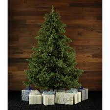 We did not find results for: Fraser Hill Farm 12 0 Ft Foxtail Pine With Clear Smart Ligh