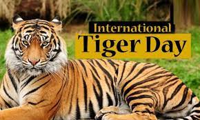 Global tiger day, often called international tiger day, is an annual celebration to raise awareness for tiger conservation, held annually on 29 july. International Tiger Day 2020 You Need To Know Coverage Log