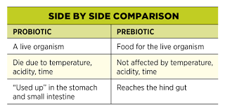 Prebiotics Vs Probiotics Which Do You Need For Your Animal