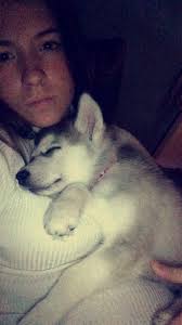 danielle whitmore (@daniellewhitmor)