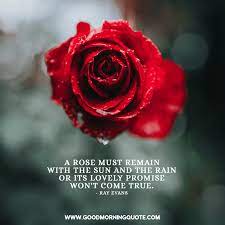 Rose Quotes 7 Rose Quotes Scripture Pictures Rose Poems