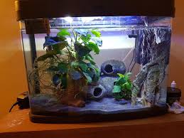 10g Shrimp Tank Fish Tank Decorations Aquarium Fish Tank Betta Aquarium