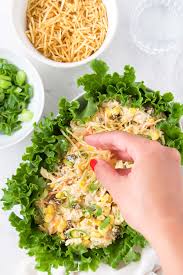 As the foodies say, it's the mouthfeel that makes it not work. How To Make Salpicao De Frango Brazilian Chicken Salad