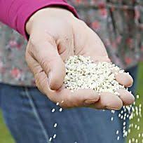 Wie Giftig Ist Rasendunger Wirklich Garten Pflanzen Rasen Rasen Erneuern