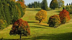 In the northern hemisphere, the beginning of the meteorological autumn is on 1 september. Das Marchen Vom Zaudernden Monat September Elkes Kindergeschichten