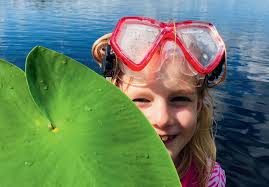 Summer in Malung 2025 by Malungsbladet