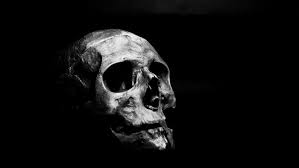 Check spelling or type a new query. The Biggest Dangers Photographers Face Dark Wallpaper Skull Wallpaper Black Wallpaper