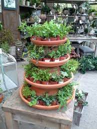 Garden Center Merchandising Display Ideas Jm Home And Garden Plant Display Delightful Displays Garden Center Displays Succulent Display Plant Display Ideas