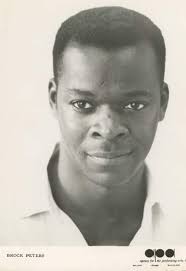 Brock Peters' Notable Acting Career and Film Roles