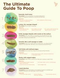 what the bristol stool scale tells you about your poop stool