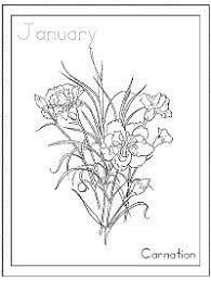 Several types of flowers drawn including roses, carnations, lilies, succelents, mums, sunflowers and many more! Birth Flowers Coloring Pages