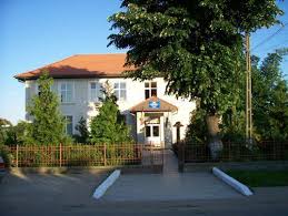 Imobiliare » case de vanzare. Scoala George Cosbuc Mediesu Aurit Home Facebook