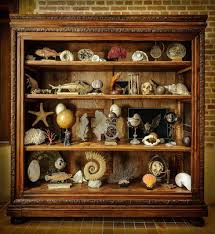 Cabinet De Curiosites De Leonard De Vinci Noblesse Royautes En 2020 Cabinet De Curiosite Cabinet Curiosites