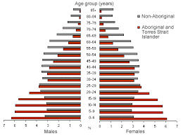 Aboriginal and torres strait islanders account for 25.5 percent of the northern territory's population. Aboriginal Population In Australia Creative Spirits