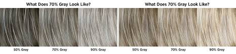 What shade of blonde hair is right for me? L Oreal Excellence Age Perfect Hair Color Chart The Future