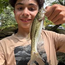 ᐅ Scott Creek fishing reports🎣• Brevard, NC (United States) fishing