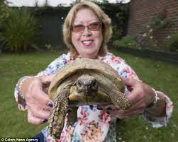 116 Year Old Tortoise Has Lived Through Six Different Monarchs Daily Mail Online