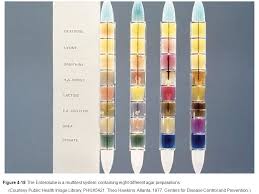 Diagnostic Microbiology Read Lab Pro Pp Ppt Download