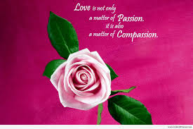 Best Quotes Ever Free Large Images Pink Rose Wallpaper Hd Rose Wallpaper Rose