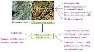 Image result for Vitex ferruginea