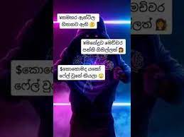 Karena memang status di whatsapp berbeda dengan aplikasi chatting lainya. Status Video Sinhala Tiktok Sinhala Wadan Youtube In 2021 Status Video Youtube