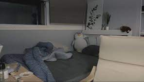 Doyoung S Room Background Ide Kamar Tidur Ide Dekorasi Kamar Ide Dekorasi Kamar Tidur