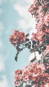 Gadgets Kopen Gadgets Sites Rv Gadgets And Gizmos Rather Gadget Man Meaning Whenever Gadg Flower Iphone Wallpaper Preppy Wallpaper Aesthetic Iphone Wallpaper