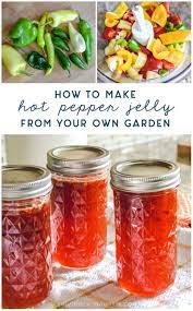 Mom S Hot Pepper Jelly Recipe Recipe Pepper Jelly Recipes Hot Pepper Jelly Stuffed Hot Peppers
