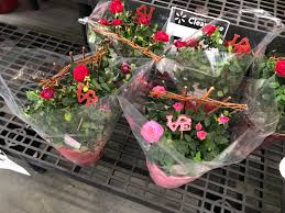 It's easy to sell online with walmart.com. 50 Off Valentine S Day Candy Flowers At Walmart