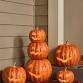 Boo-Riffic Bash at the Windsor Branch Library event image