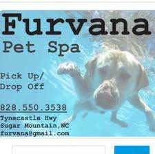 1700 north main street b, marion, nc 28752. Kozy Kritters Inn Doggie Day Care Home Facebook