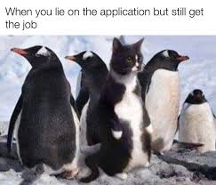 Amusing hilarious club penguin humor penguins. Just Keep Swimming Penguins Know Your Meme